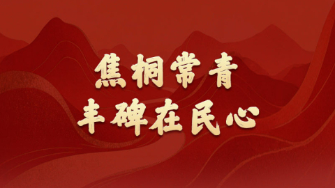 政绩观丨焦桐常青，丰碑在民心